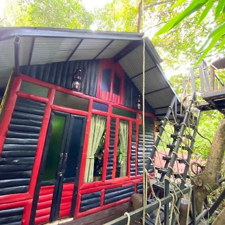 Khao Sok Tree House Resort Khao Sok National Park Exterior photo