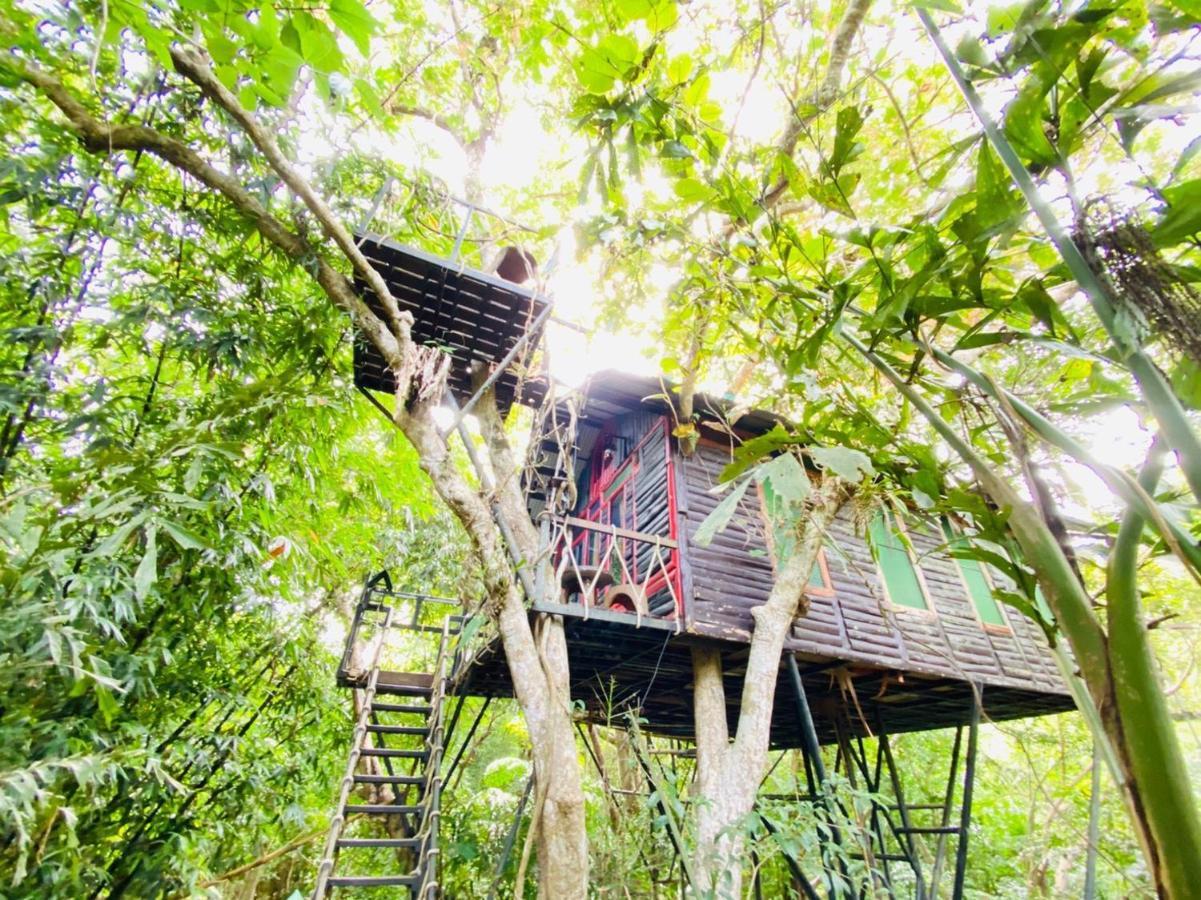 Khao Sok Tree House Resort Khao Sok National Park Exterior photo