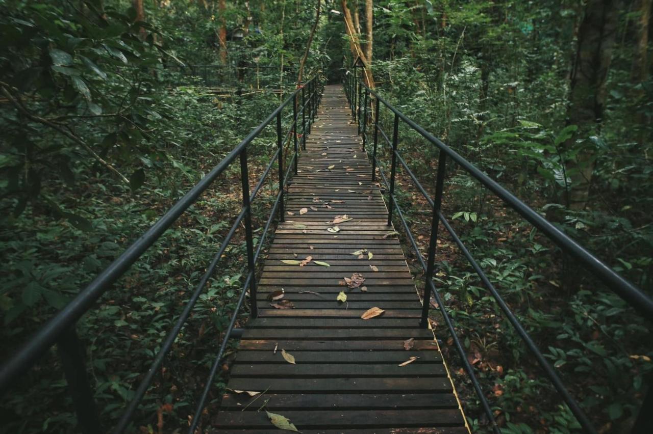 Khao Sok Tree House Resort Khao Sok National Park Exterior photo