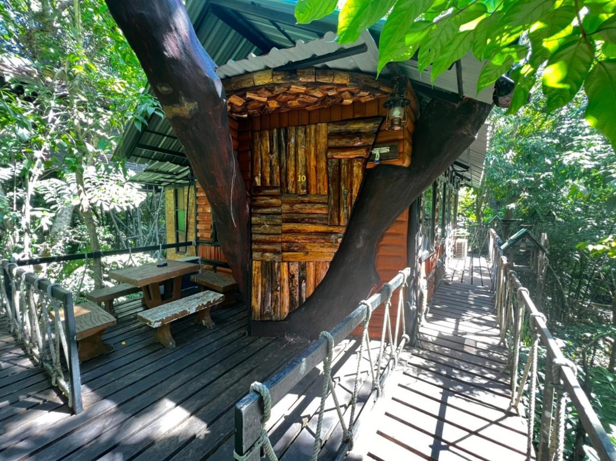 Khao Sok Tree House Resort Khao Sok National Park Exterior photo