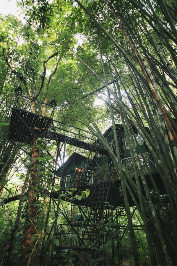 Khao Sok Tree House Resort Khao Sok National Park Exterior photo