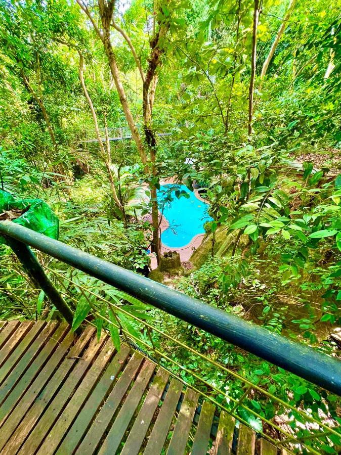 Khao Sok Tree House Resort Khao Sok National Park Exterior photo