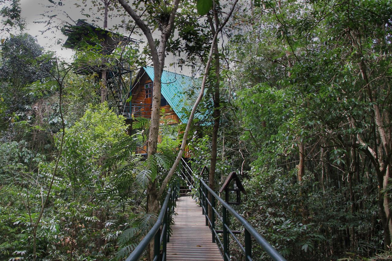 Khao Sok Tree House Resort Khao Sok National Park Exterior photo