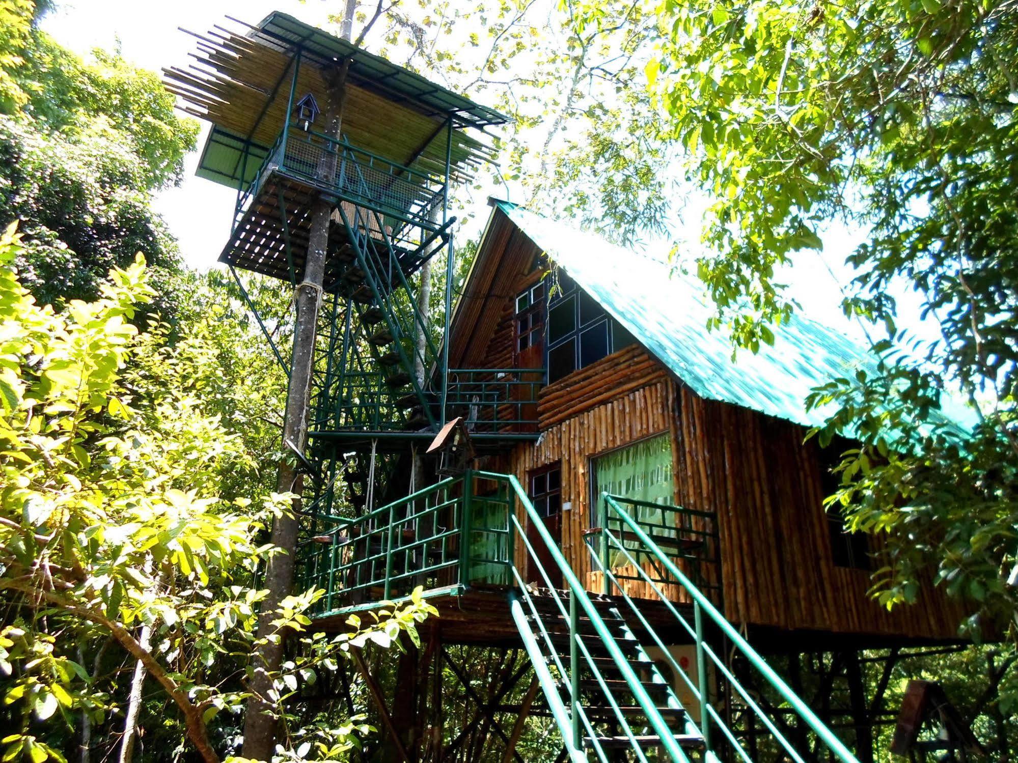 Khao Sok Tree House Resort Khao Sok National Park Exterior photo