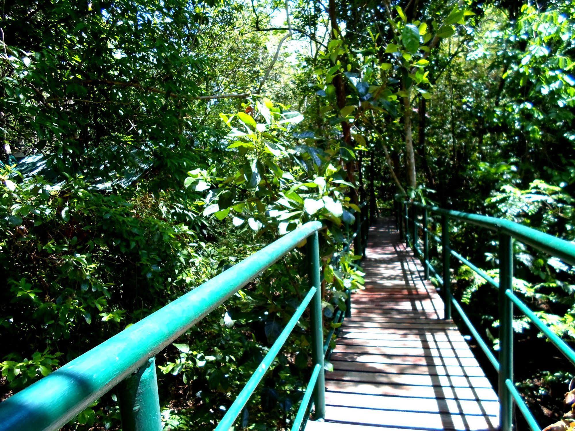 Khao Sok Tree House Resort Khao Sok National Park Exterior photo