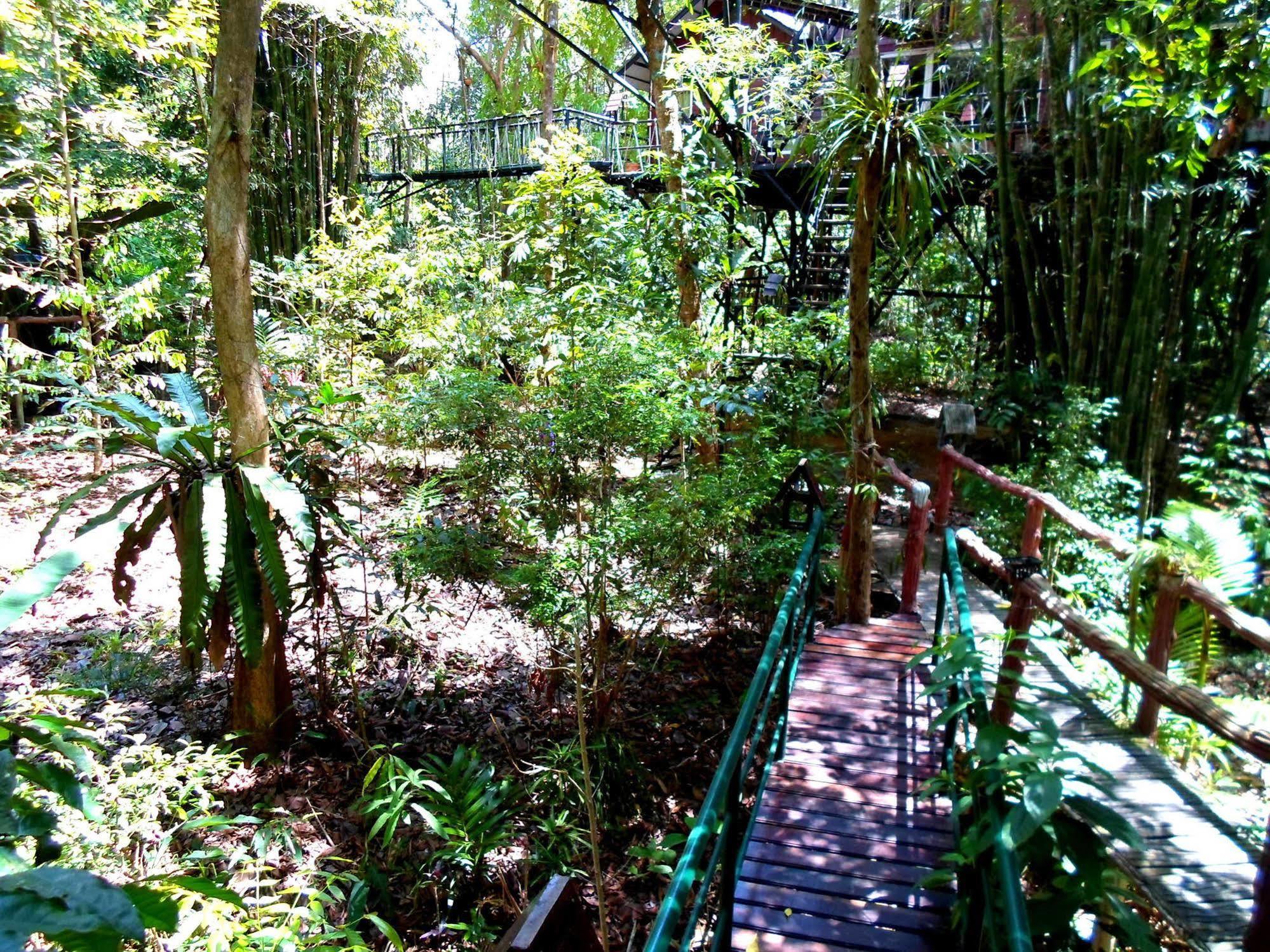 Khao Sok Tree House Resort Khao Sok National Park Exterior photo