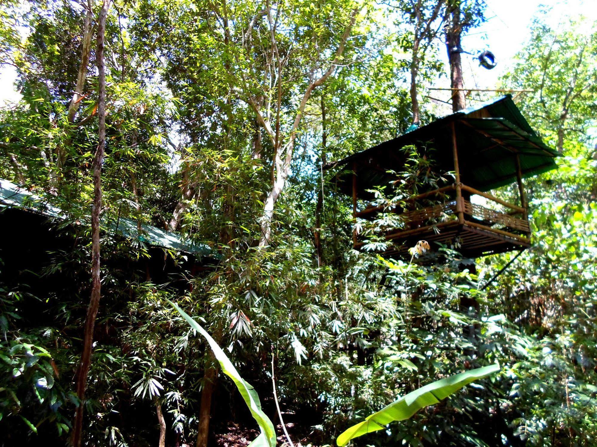 Khao Sok Tree House Resort Khao Sok National Park Exterior photo