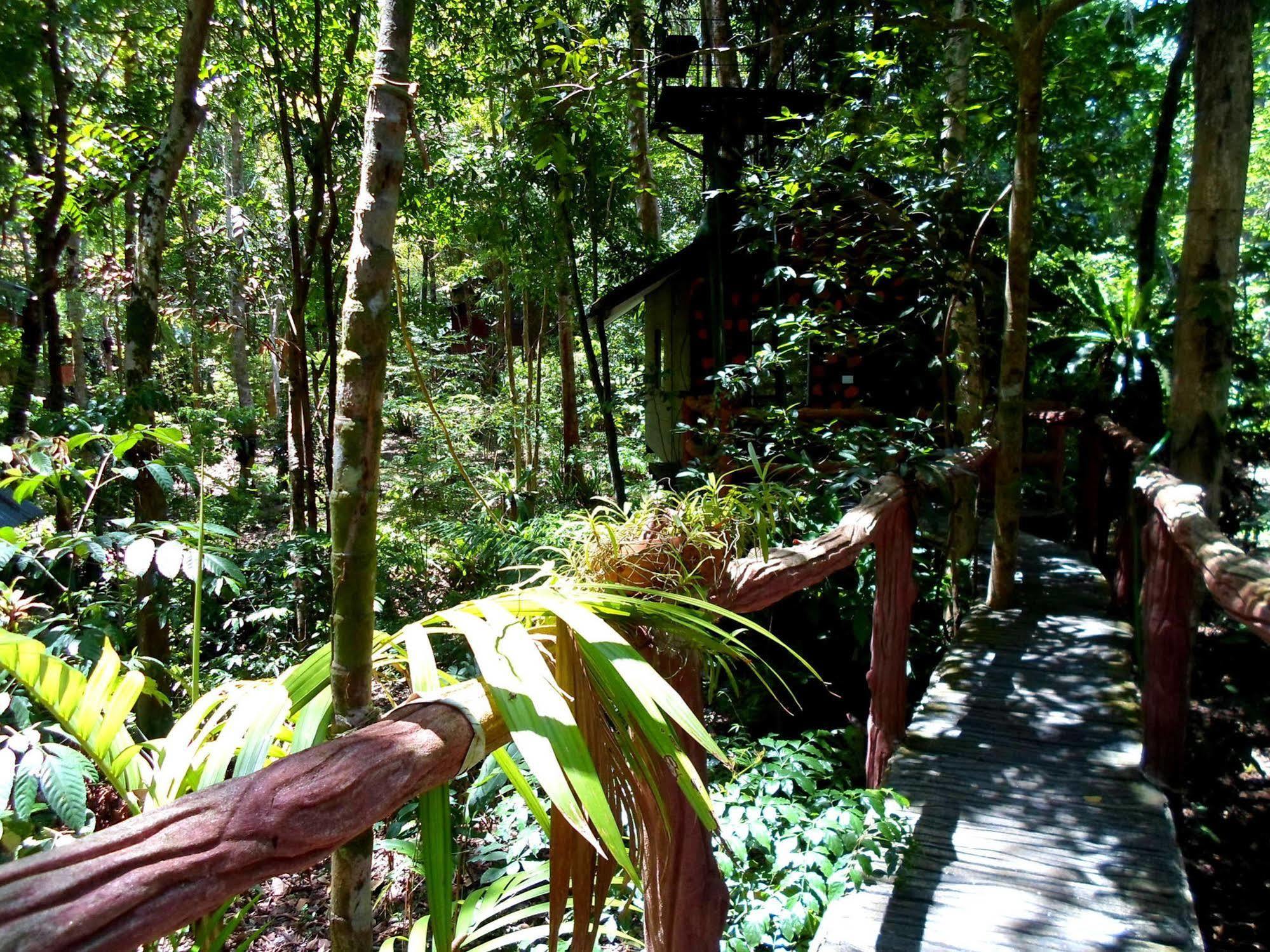 Khao Sok Tree House Resort Khao Sok National Park Exterior photo