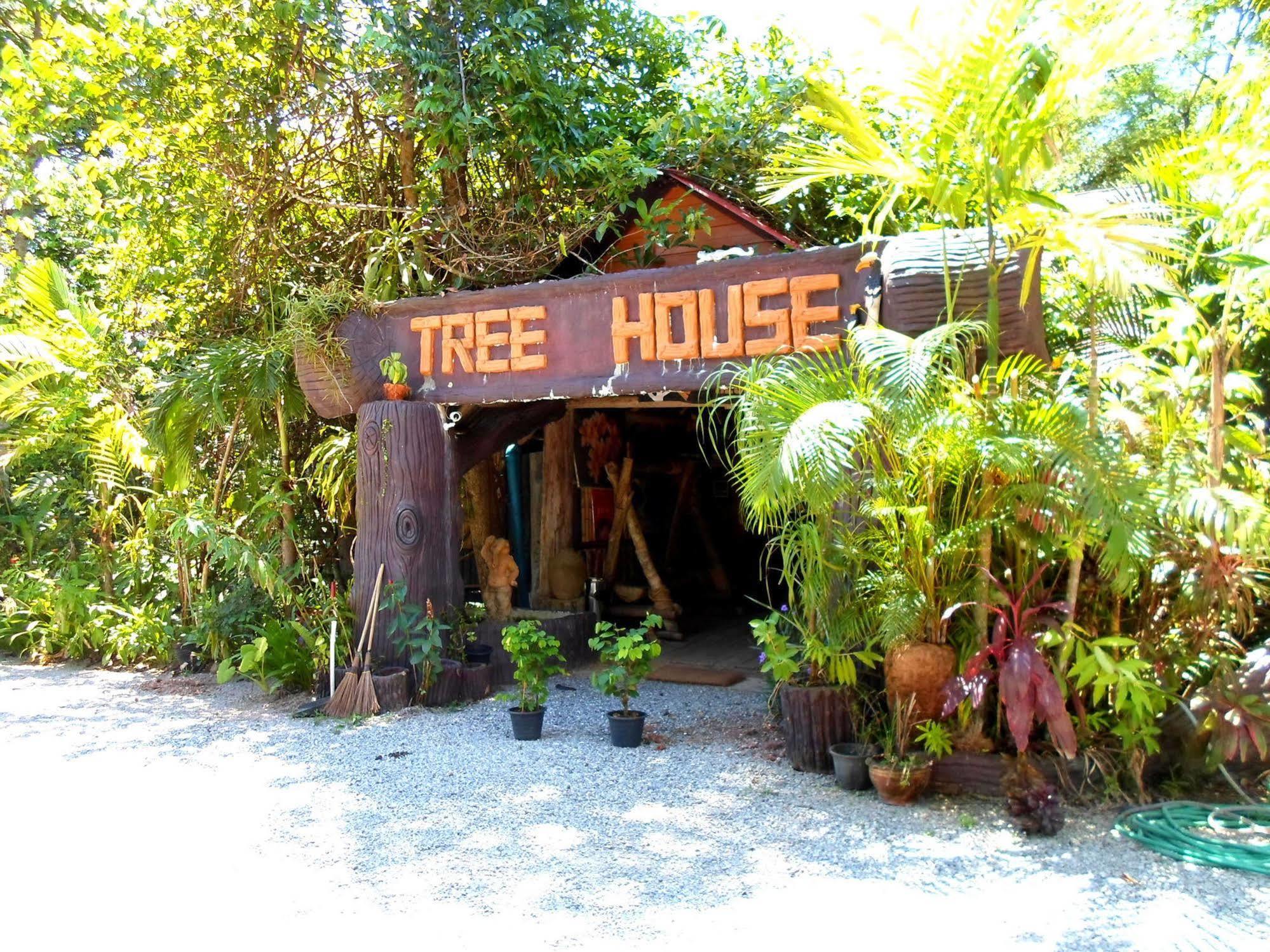 Khao Sok Tree House Resort Khao Sok National Park Exterior photo