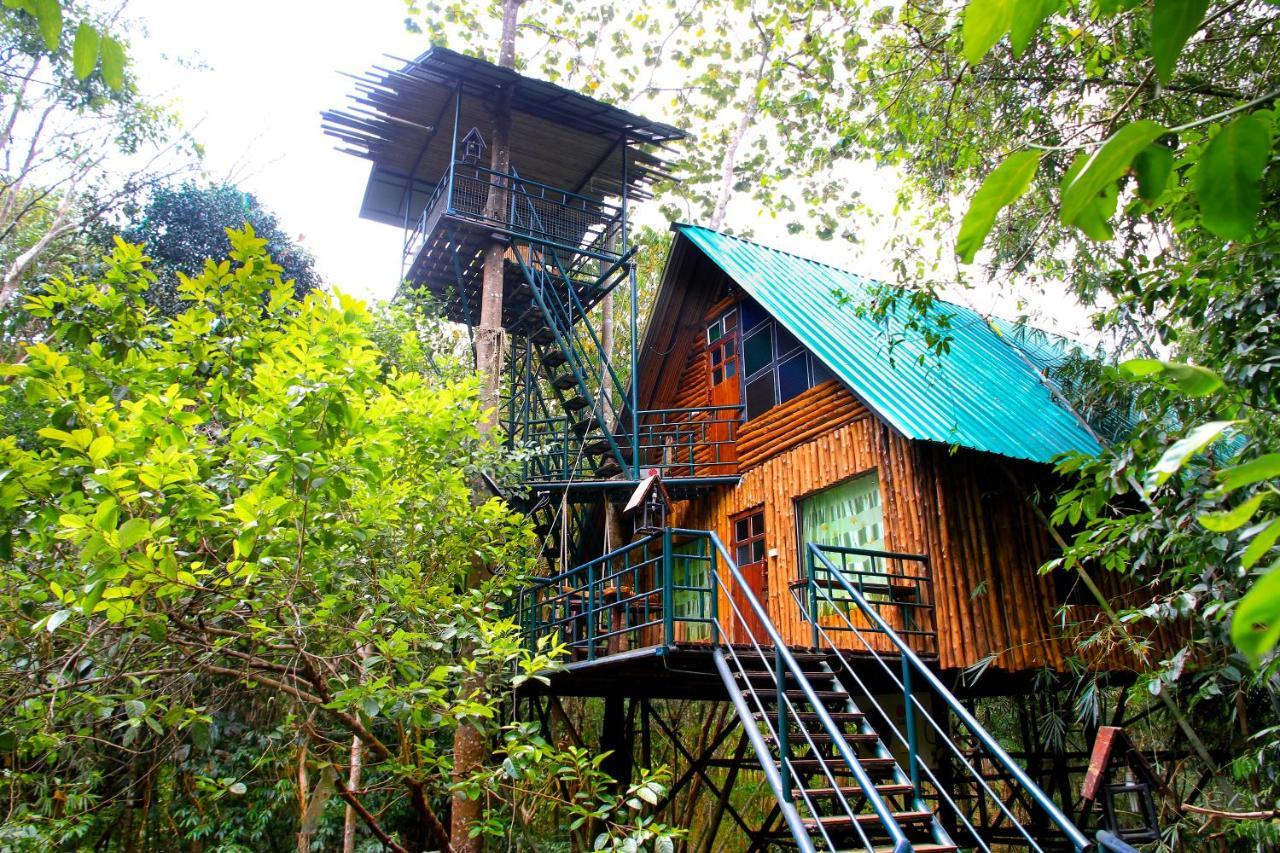 Khao Sok Tree House Resort Khao Sok National Park Exterior photo