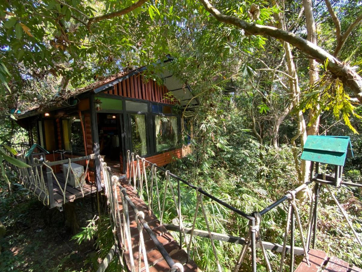 Khao Sok Tree House Resort Khao Sok National Park Exterior photo