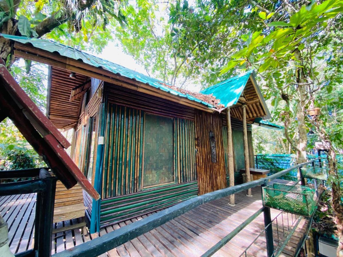 Khao Sok Tree House Resort Khao Sok National Park Exterior photo